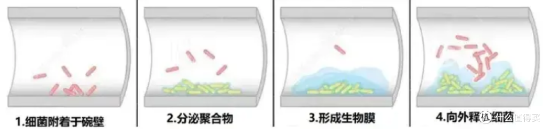 新工作需要经常出差，全自动猫砂盆、智能宠物喂食机、智能宠物饮水机，哪些值得购买？