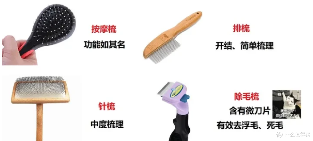 「多猫家庭」猫毛满天飞,有什么神器可以解决这个问题吗?