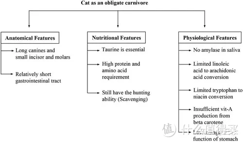猫挑食会生病：为什么要关注猫粮的适口性？猫猫们更偏爱怎样的猫粮？