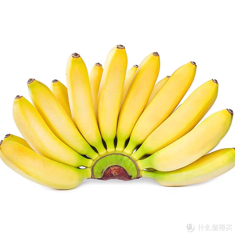 《惊世绝艳：香蕉，终极水果王者！》