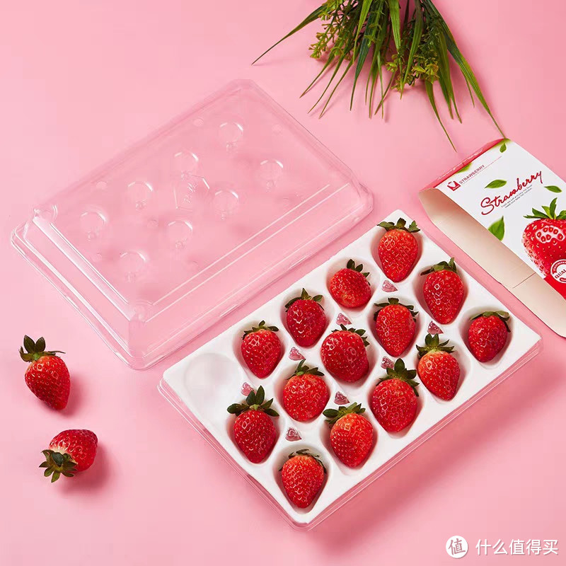 惊呆天下！这是史上最鲜美多汁的草莓！