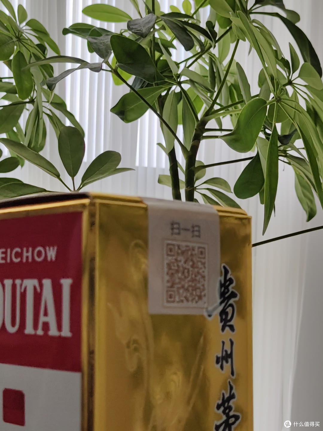 来不及解释了,快上车!京东茅台大放量,今日放量两万瓶。预约才能抢。
