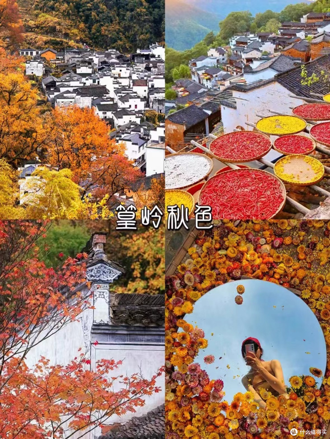 9-11月江西最美赏秋🍂旅游目的地推荐❗