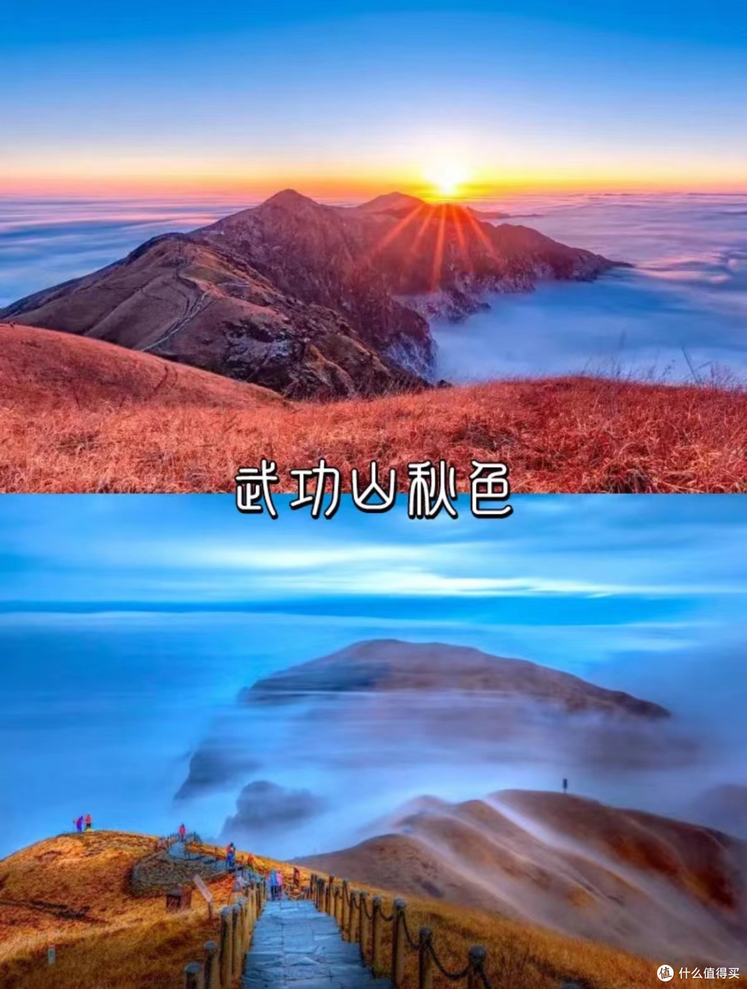 9-11月江西最美赏秋🍂旅游目的地推荐❗