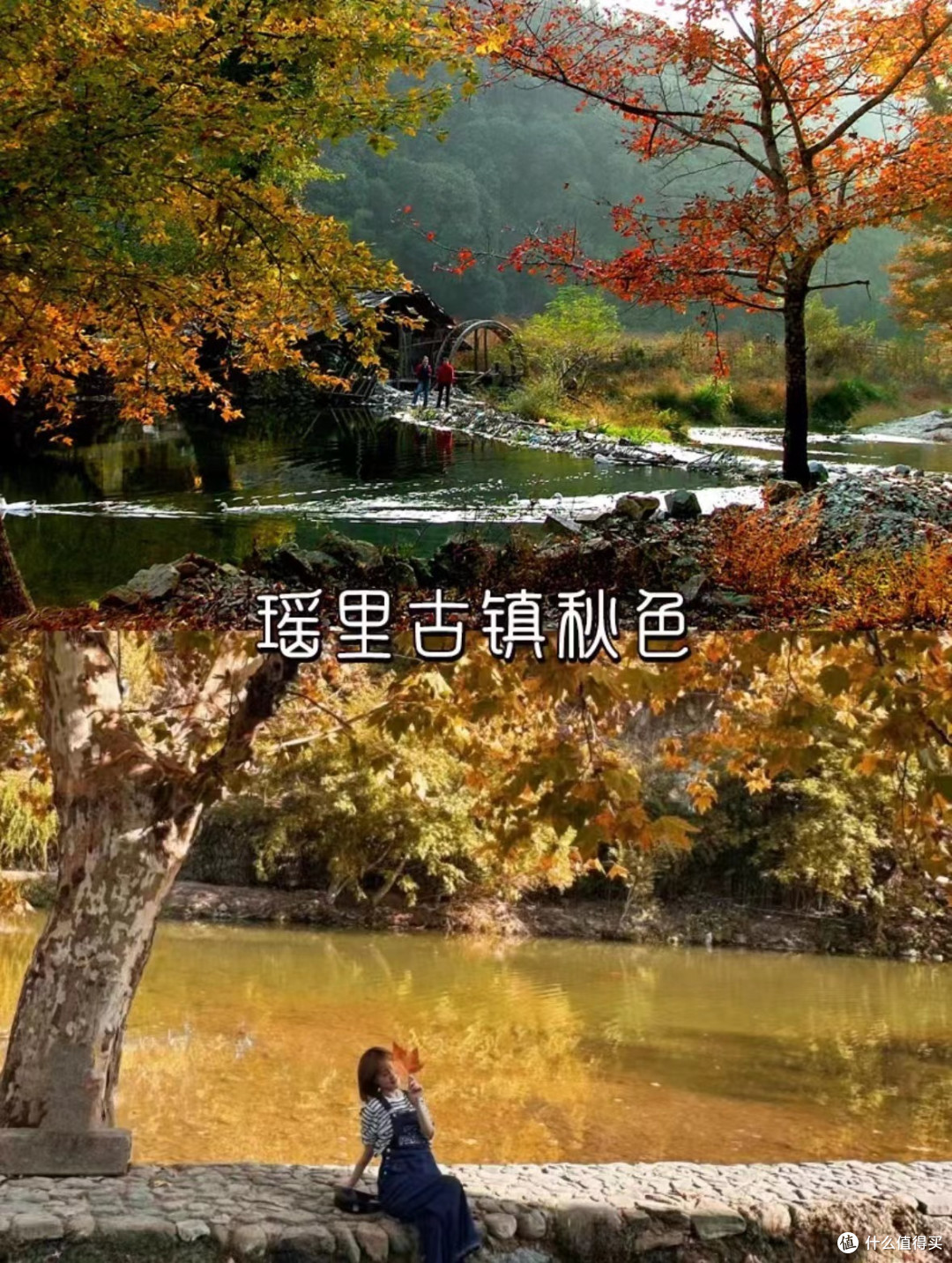 9-11月江西最美赏秋🍂旅游目的地推荐❗