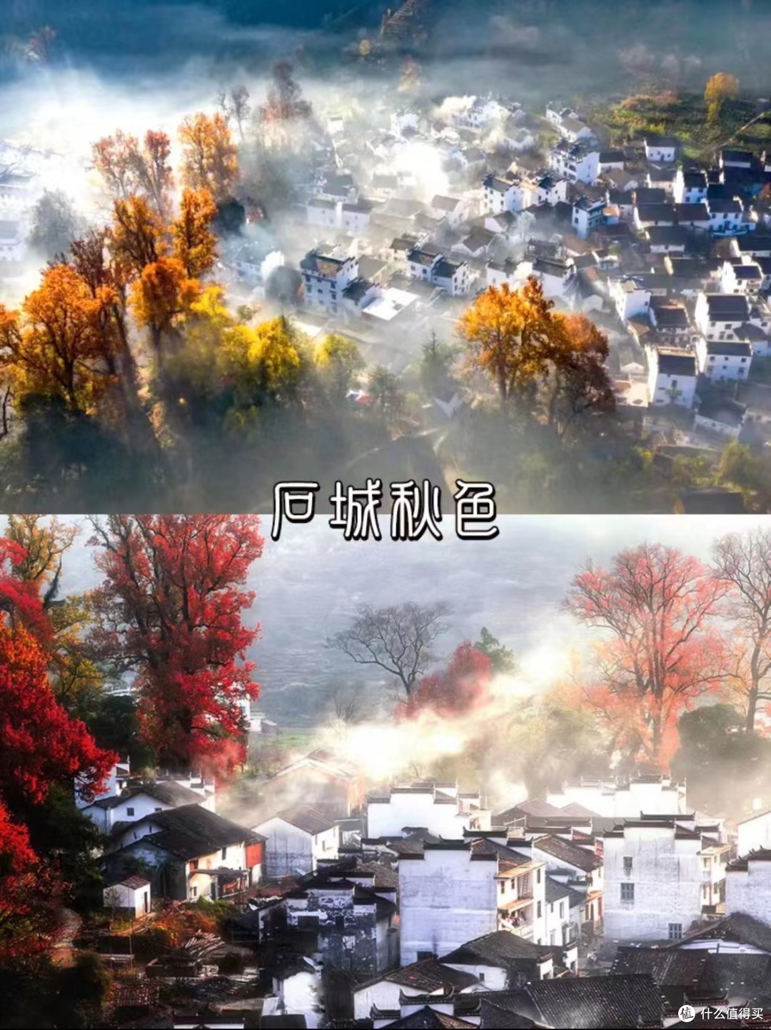9-11月江西最美赏秋🍂旅游目的地推荐❗