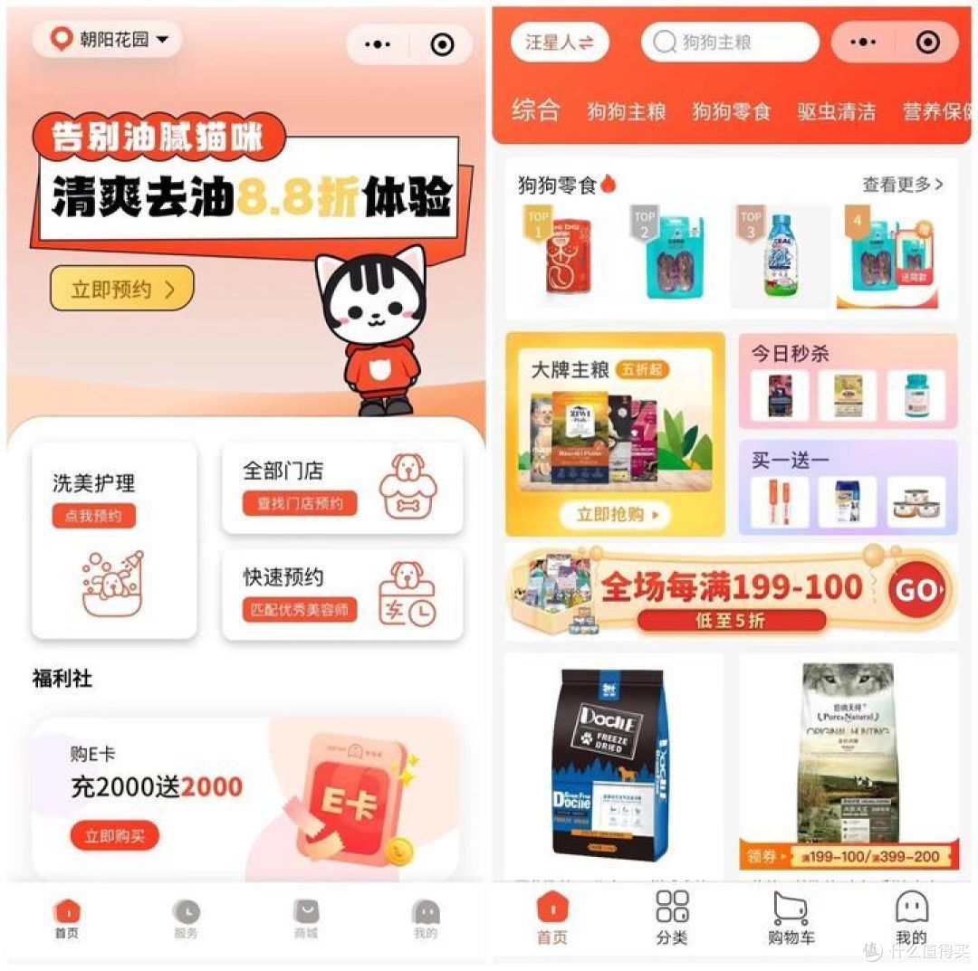 好爱我们的猫狗崽崽,那宠物健康护理需要怎么做呢?