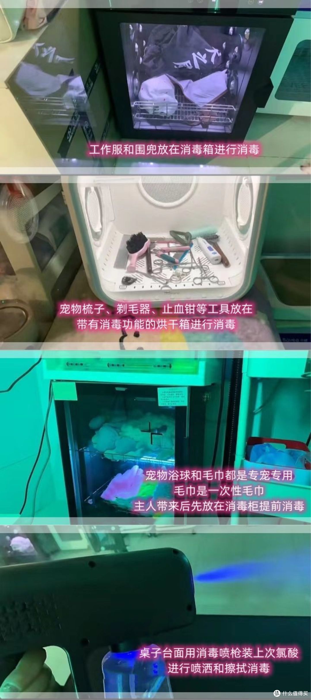 好爱我们的猫狗崽崽,那宠物健康护理需要怎么做呢?