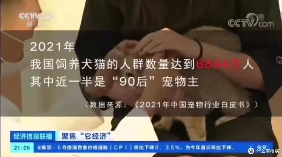 好爱我们的猫狗崽崽,那宠物健康护理需要怎么做呢?