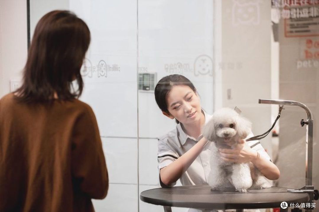 好爱我们的猫狗崽崽,那宠物健康护理需要怎么做呢?