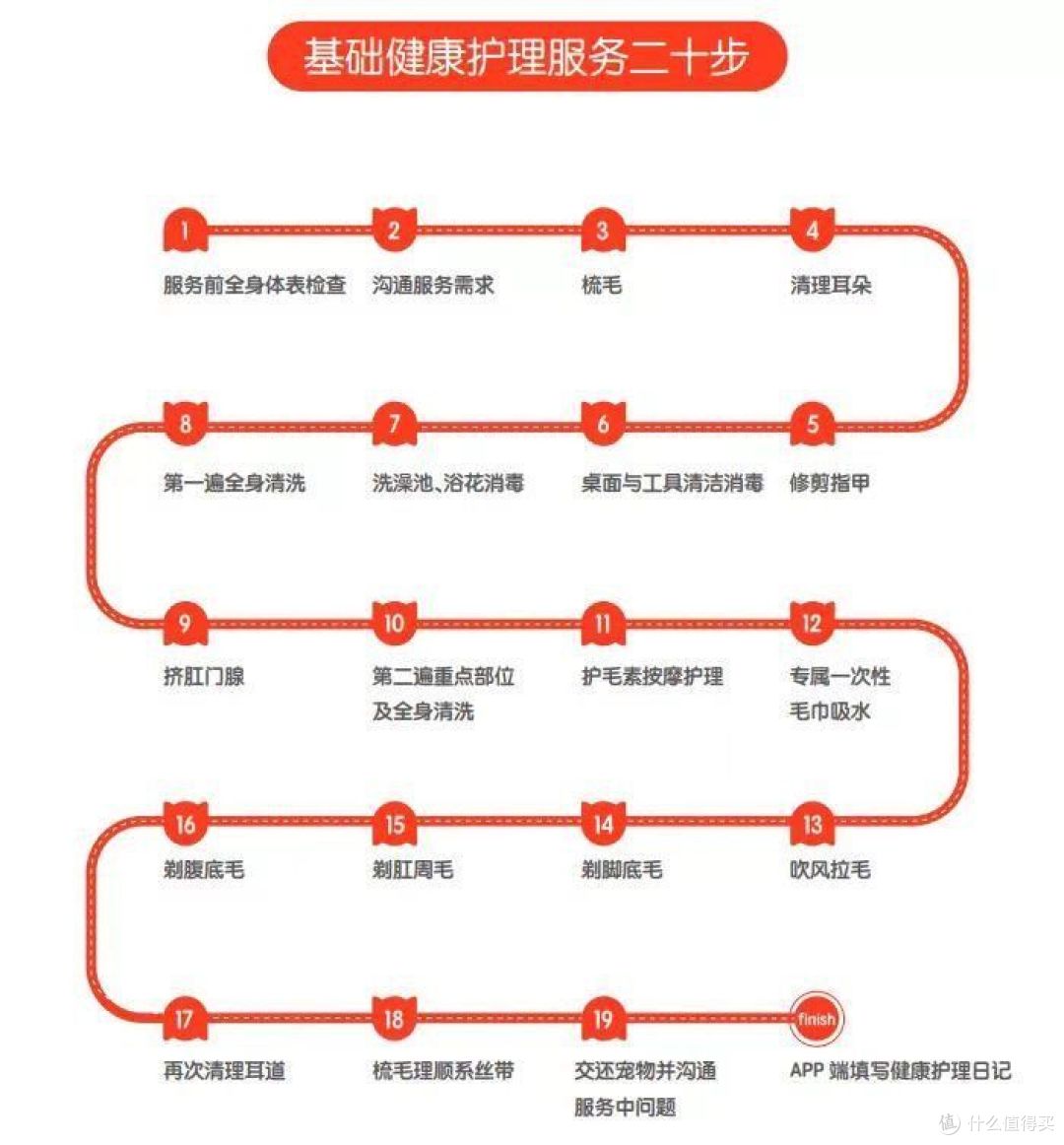 好爱我们的猫狗崽崽,那宠物健康护理需要怎么做呢?