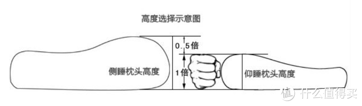 如何选择适合自己的枕头？2023年枕头指南 | 睡眠博士、亚朵、时光存折、7C等热门枕头分享