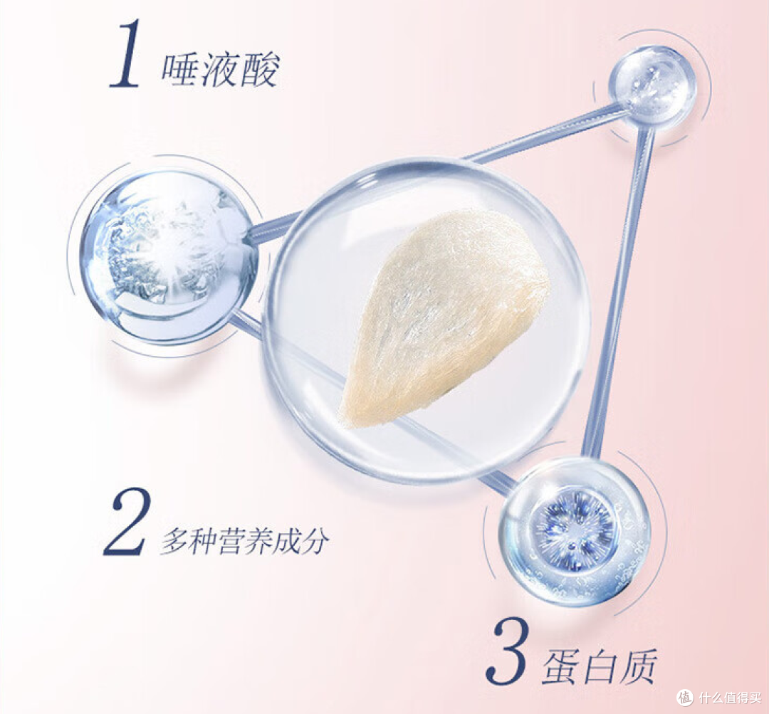 买鲜炖燕窝好,还是自己煮比较好呢?