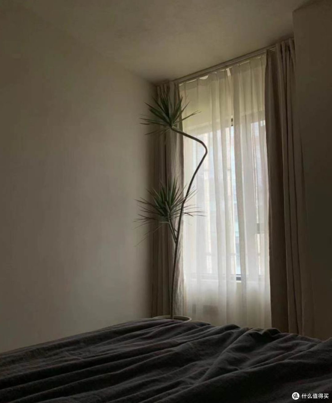 不要客厅，没有踢脚线！武汉一姑娘，把家装成了无数人的理想