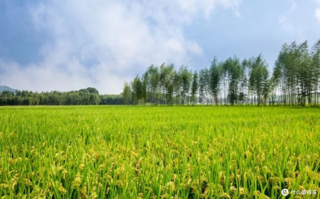 串联山湖美景,百公里环线让你沉醉其中!