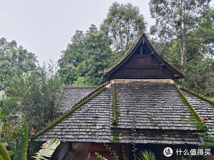 普洱景迈山古茶林文化景观成功列入《世界遗产名录》，这条小众云南旅游线路好玩吗？