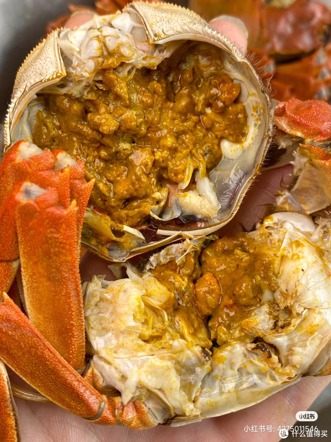 中秋送礼☞送“螃蟹”，营养价值高！