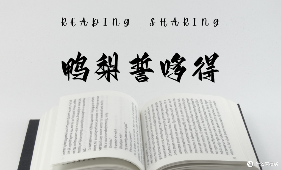 后续更精彩