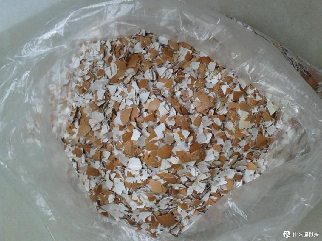 3种“废料”,埋进花盆里,肥得流油又透气,2年都不用换土了