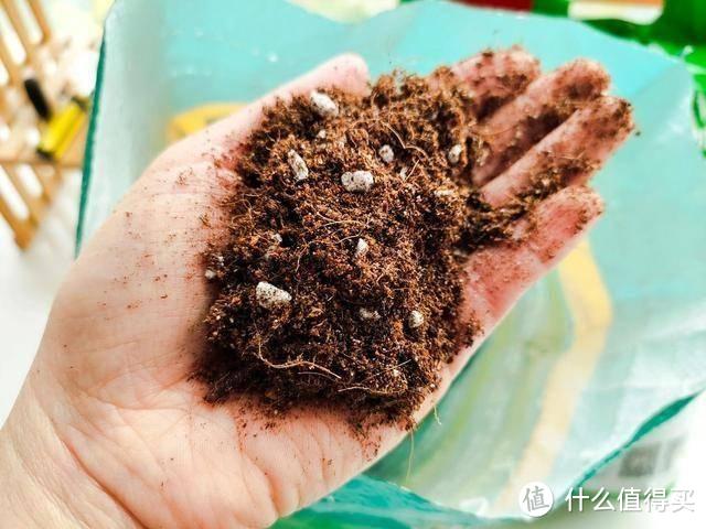 3种“废料”，埋进花盆里，肥得流油又透气，2年都不用换土了