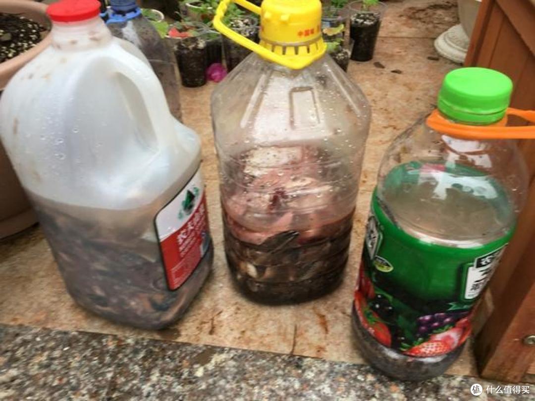 3种“废料”,埋进花盆里,肥得流油又透气,2年都不用换土了