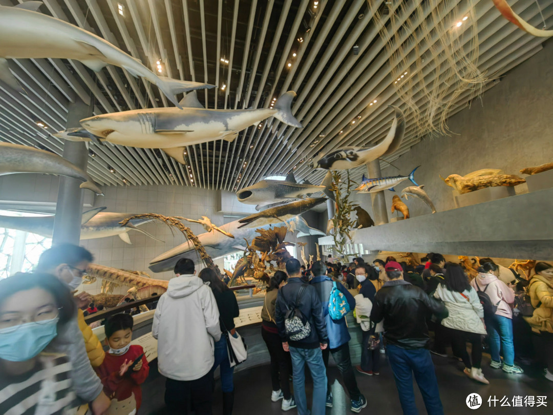 跟着孩子一起探索上海自然博物馆，开启国庆亲子之旅!