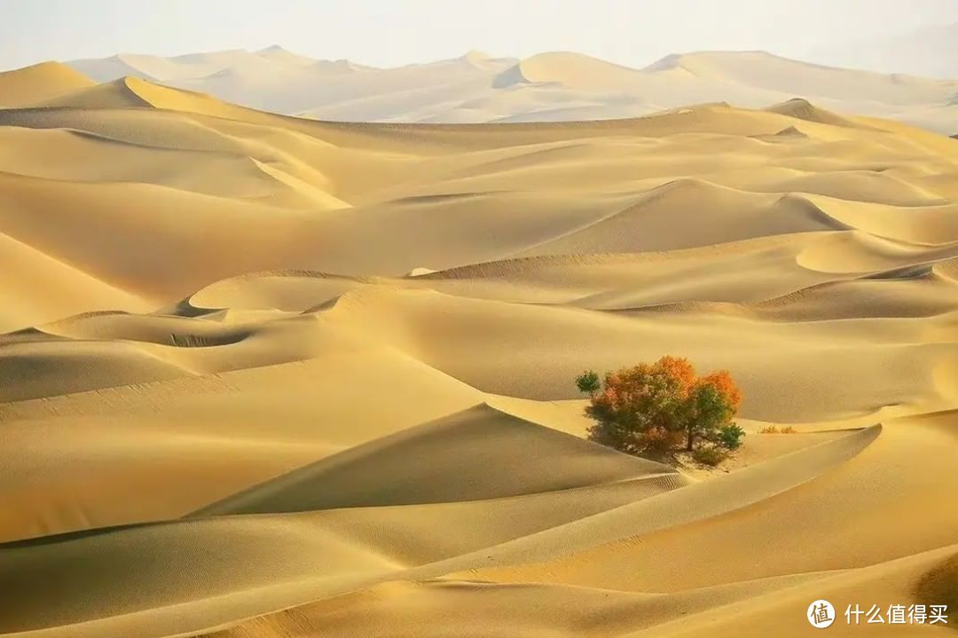 我国五大沙漠，你去过几个？