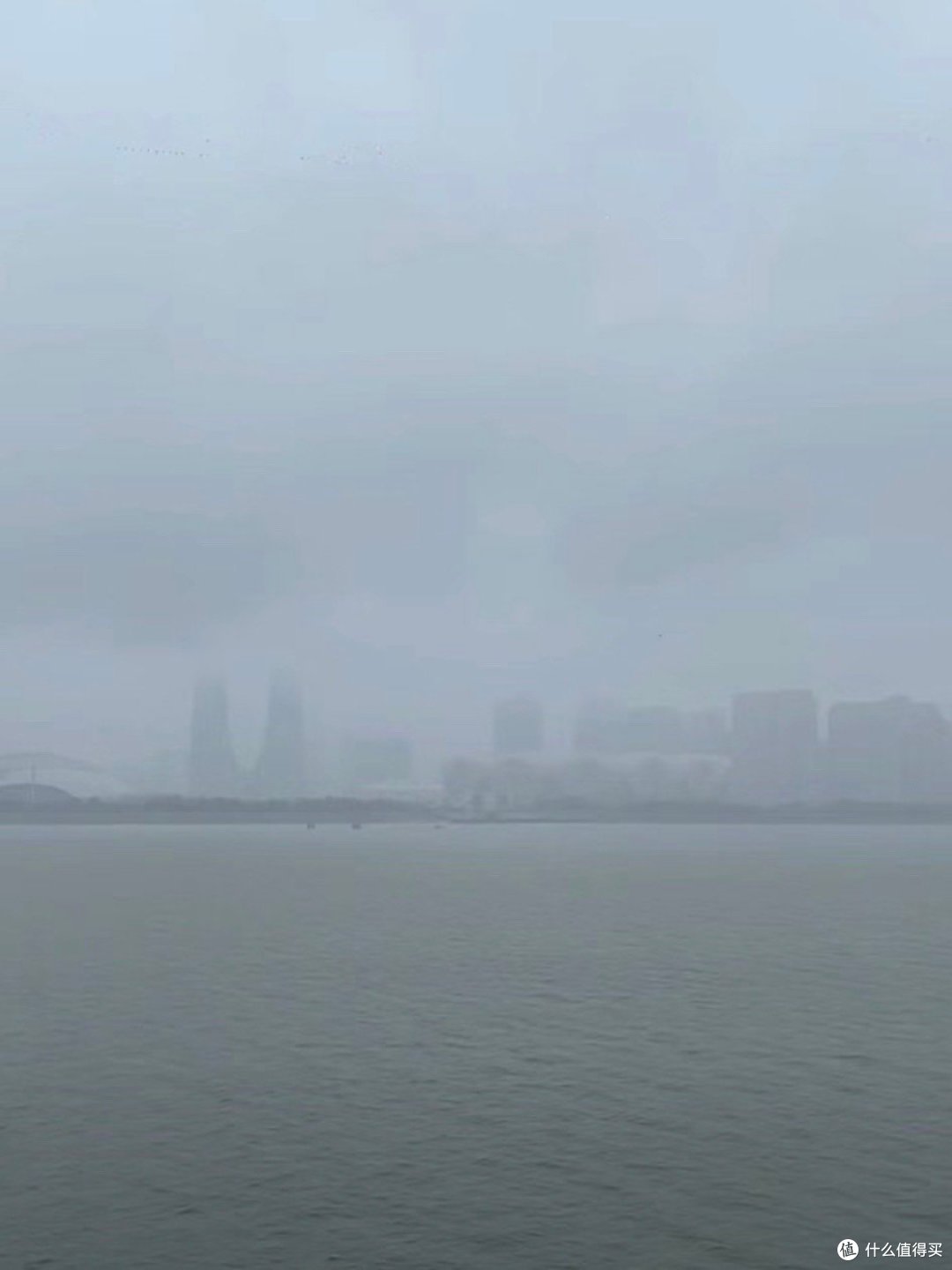 烟雨中的莲花