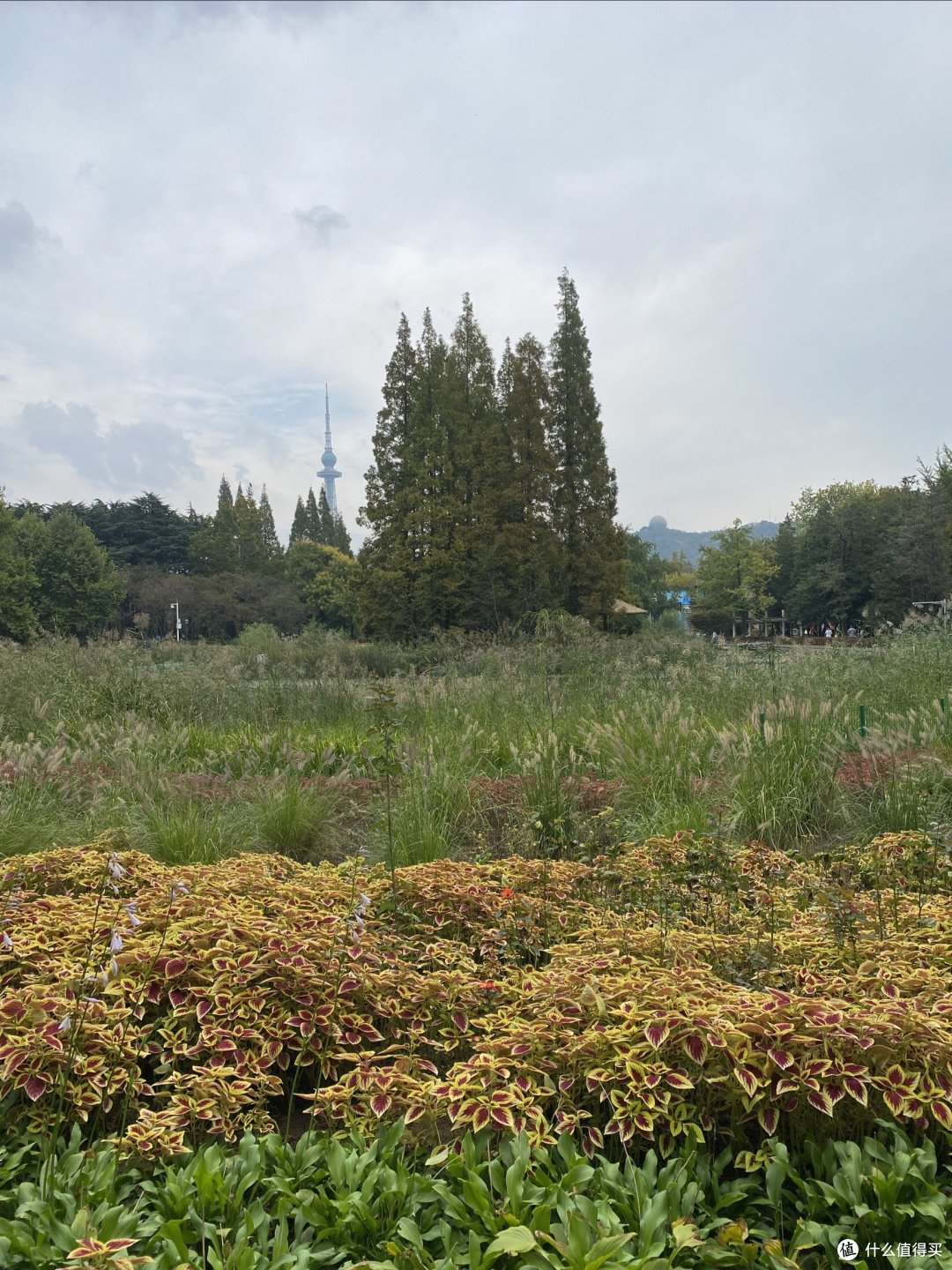 今天逛了逛中山公园的小西湖