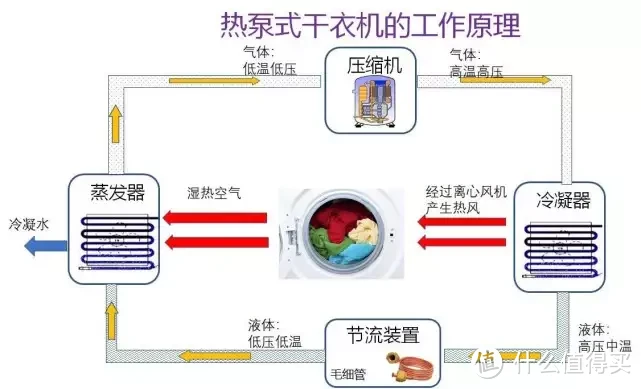 一体集成，超薄平嵌，智慧柔烘，TCL 双子舱洗烘护集成机T10为啥值得买？