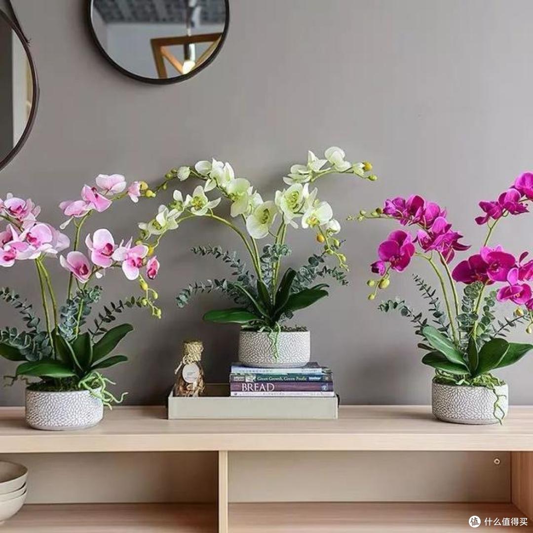 买花一时爽,10天“火葬场”,3种花看似娇贵却难养,直接收空盆
