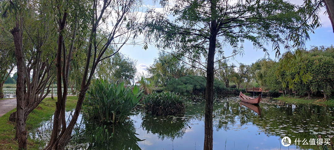 湿地公园5