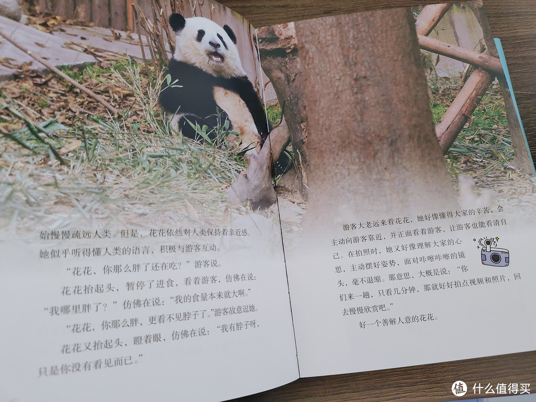 有哪些好看的熊猫主题的书籍值得推荐？蒋林的《熊猫花花》别错过！