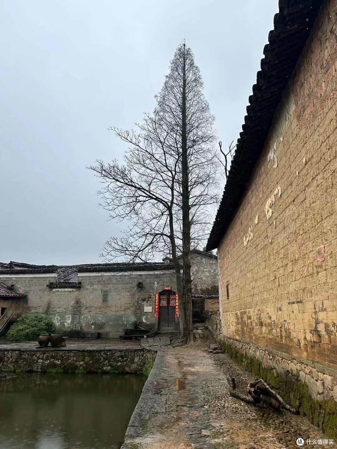 竹桥村骑行攻略：带你畅享自然美景