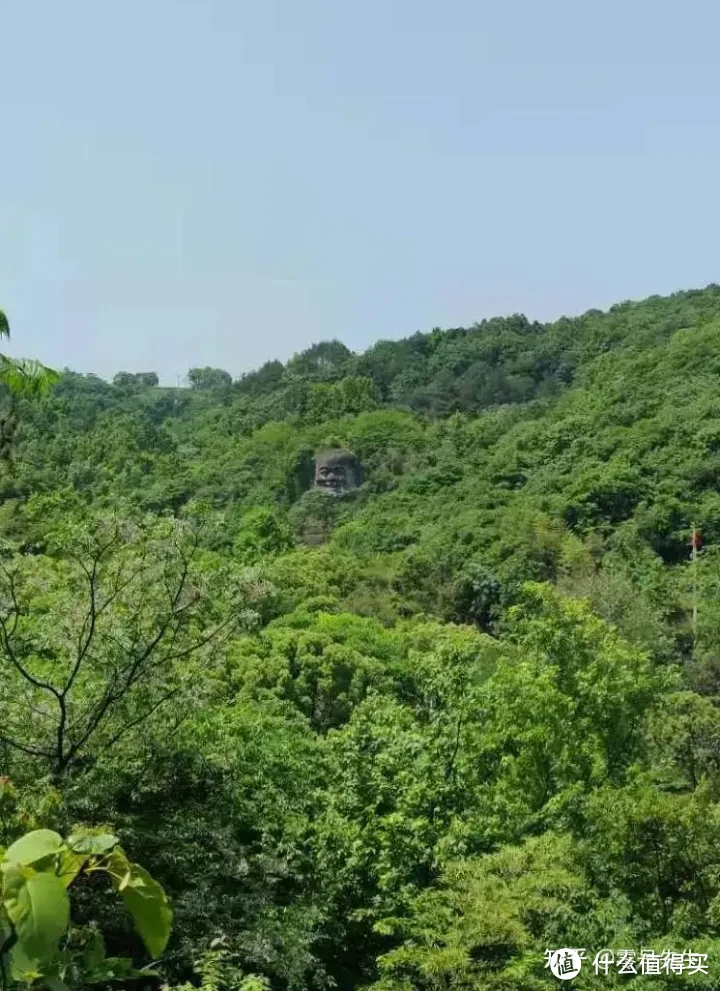 已帮你踩好点，江浙沪2h小众自驾攻略！(一）