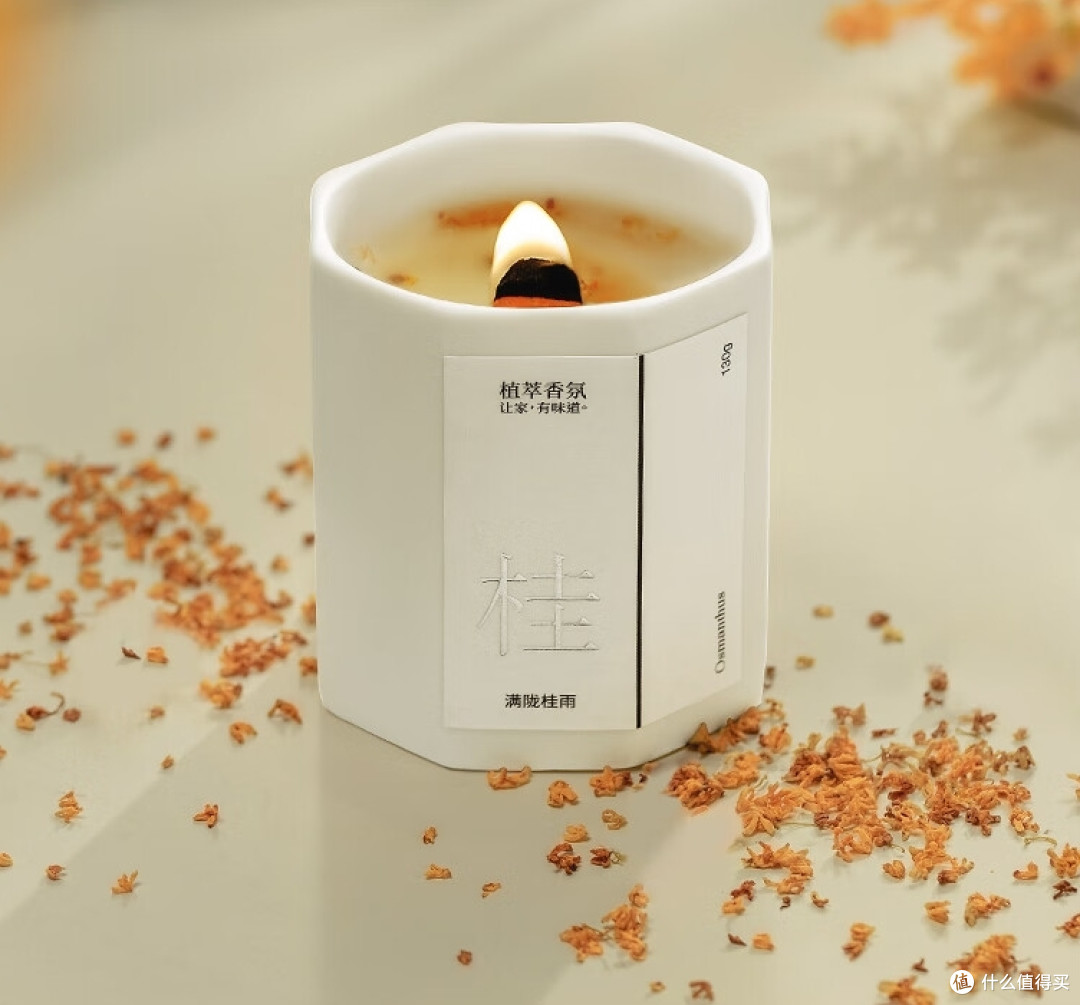 你的治愈时刻有哪些？