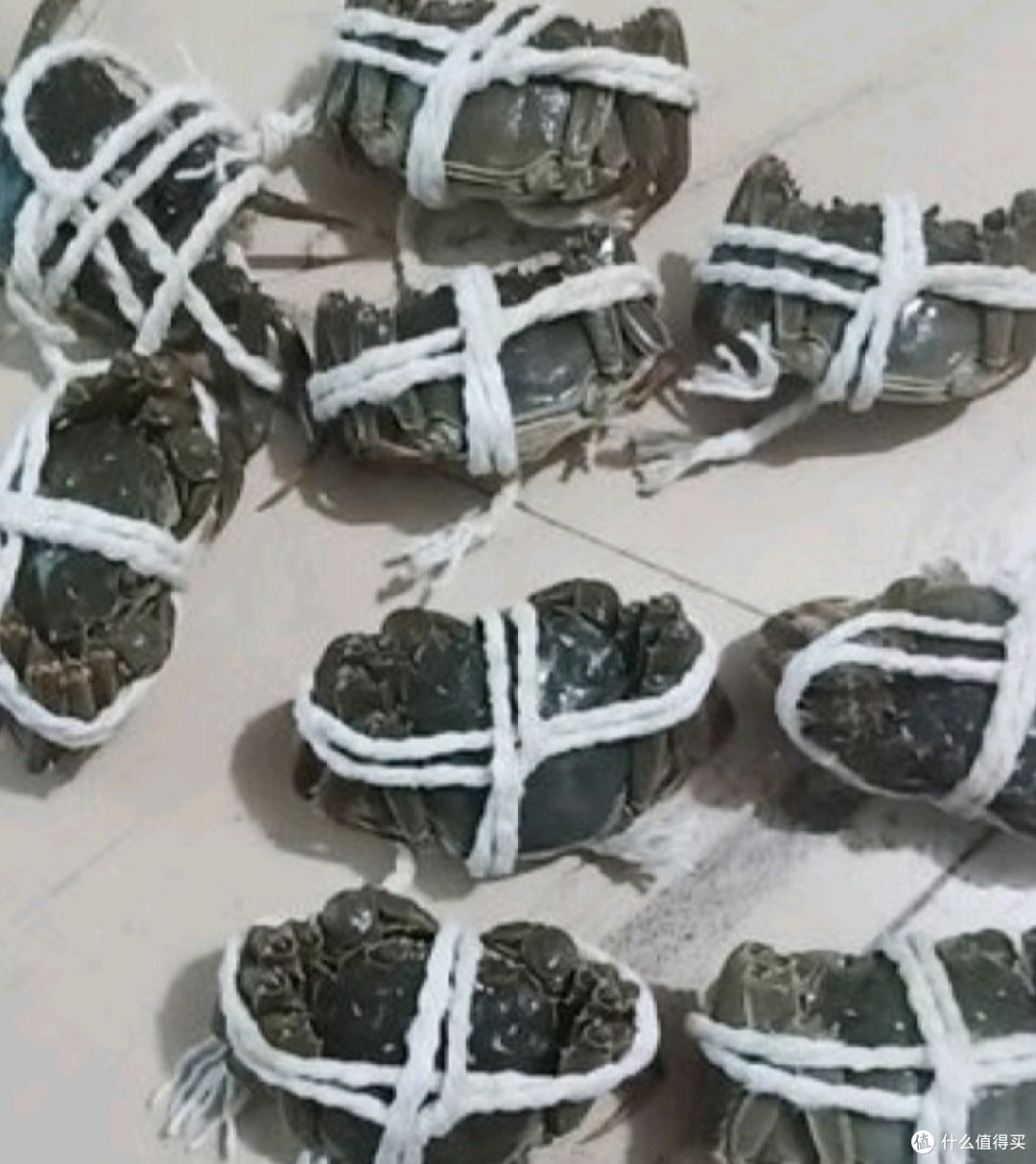 中秋送礼送大闸蟹