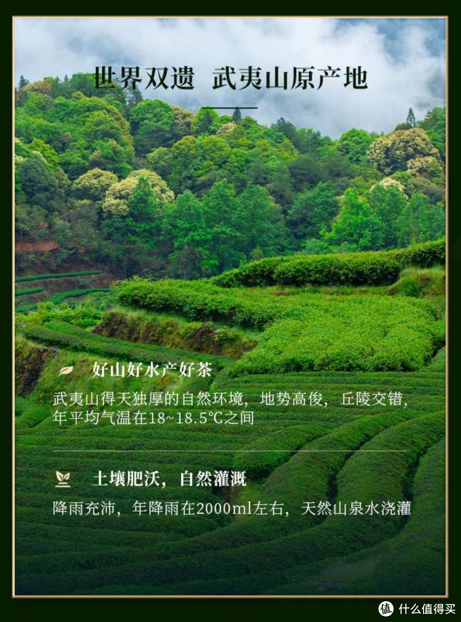 茶有道：为什么喝茶?为什么喝岩茶?