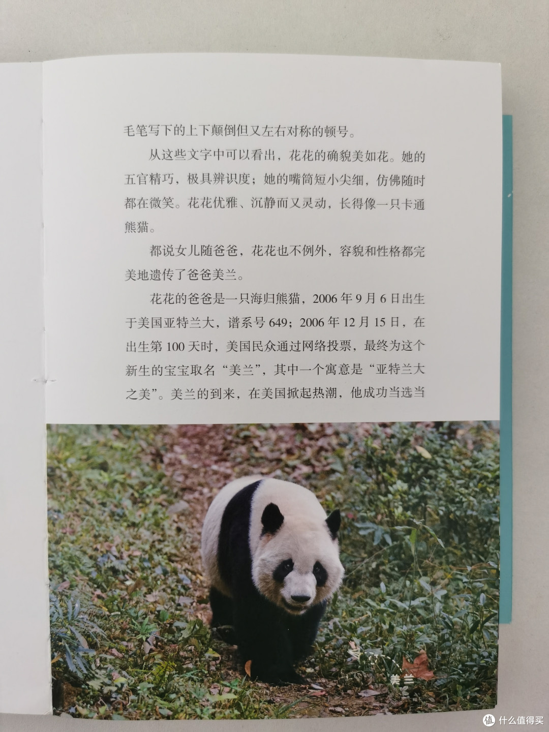 国庆节,《熊猫花花》这本书你一定要看