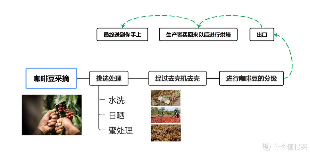 「干货文」掏心窝子的分享，超全的咖啡相关一站式选购指南，包含了咖啡、咖啡豆、手摇磨豆机选购推荐