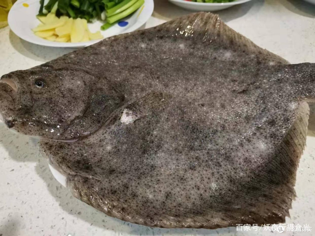 一条多宝鱼,让你吃出人生巅峰!"
