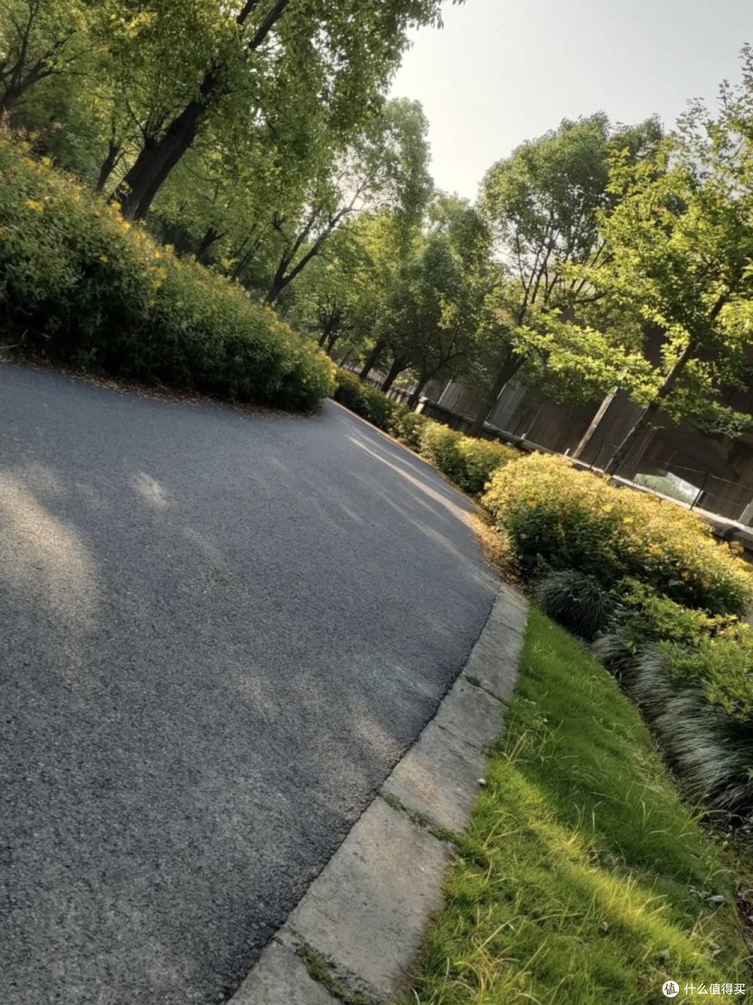 🌳🏃♀️ 【户外跑步运动】 发现新世界!