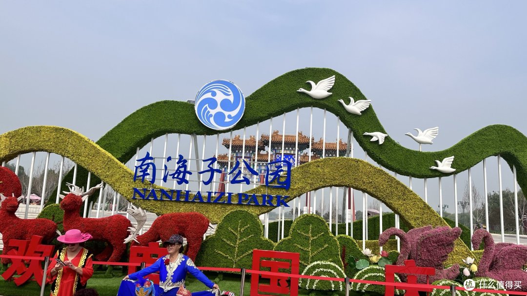 休闲放松0费用，和珍稀野生动物面对面，南海子公园值得反复来