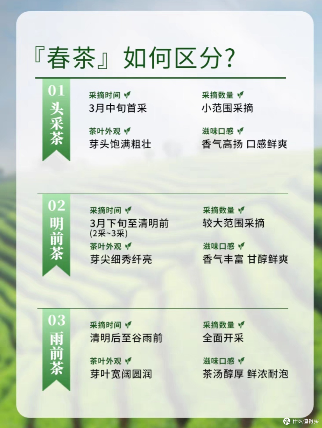 “商人重利轻别离,前月浮梁买茶去”之——浮梁茶