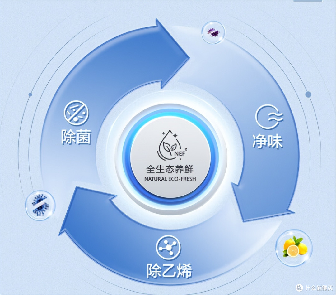 食物保鲜时间短?肉类冷冻营养流失大?揭开你不了解的冰箱真相