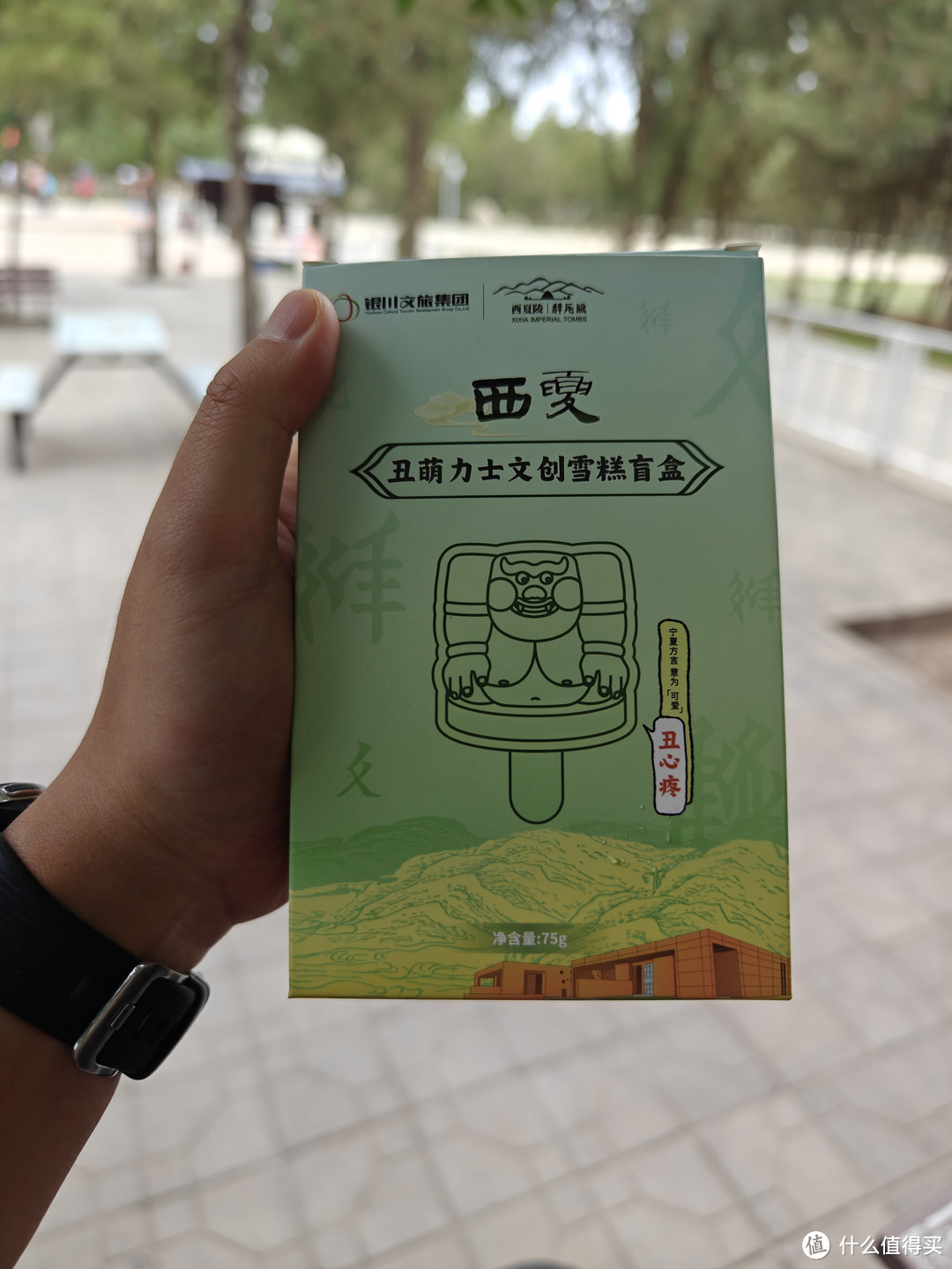 不一样的陵寝——西夏王陵