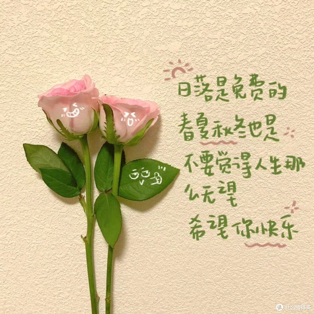 这款粉色的超级食物,让养生少女们疯狂“粉”了!