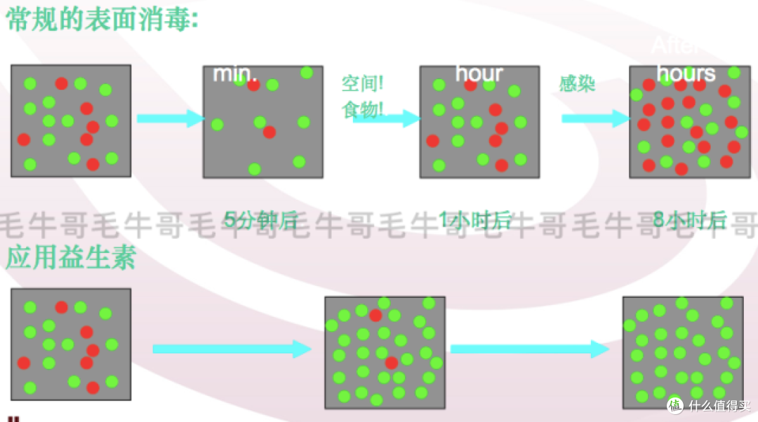 益生菌面料的除螨功效