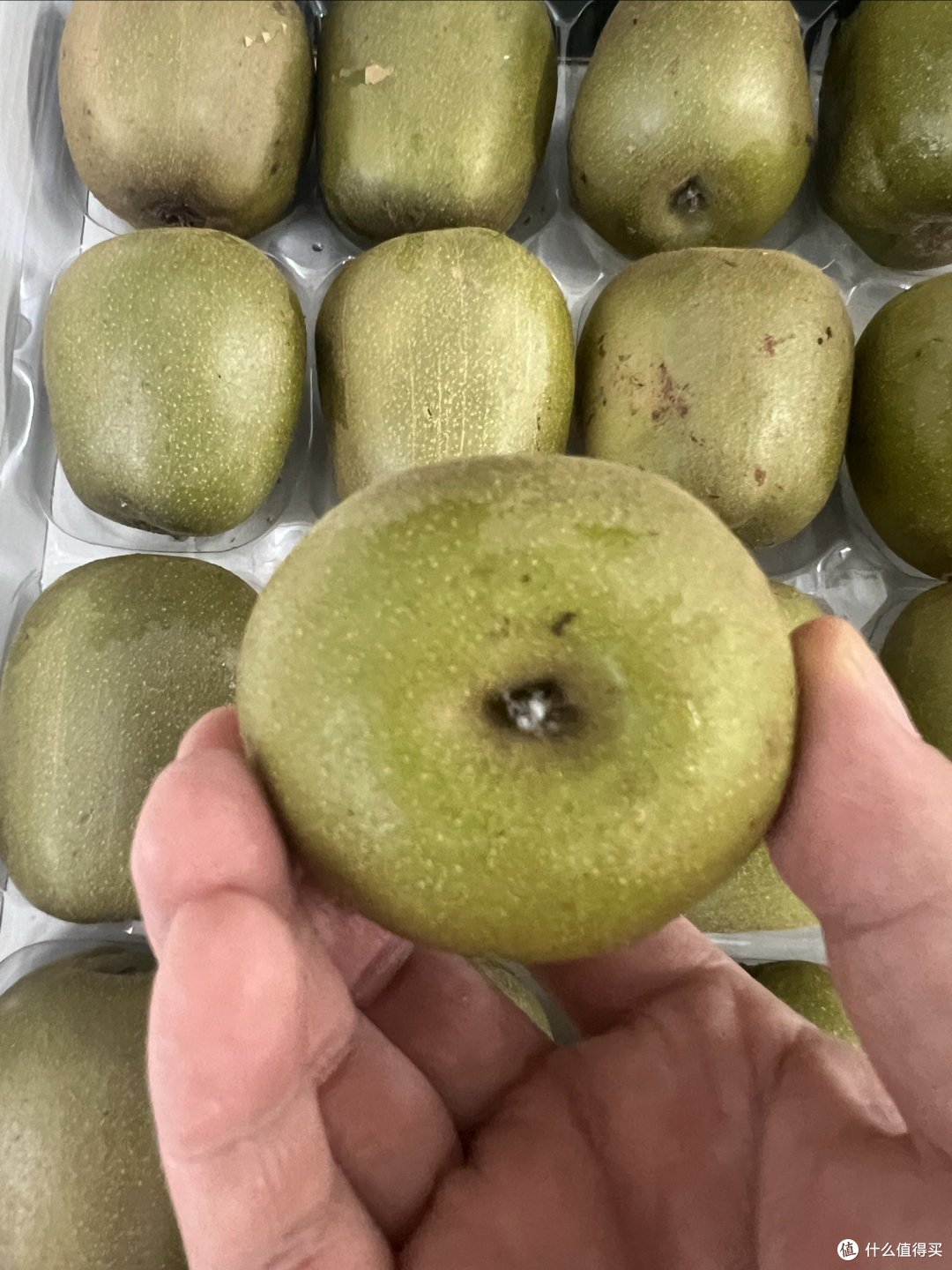 国庆假期第一天就收到礼物,宅家的福利吗?