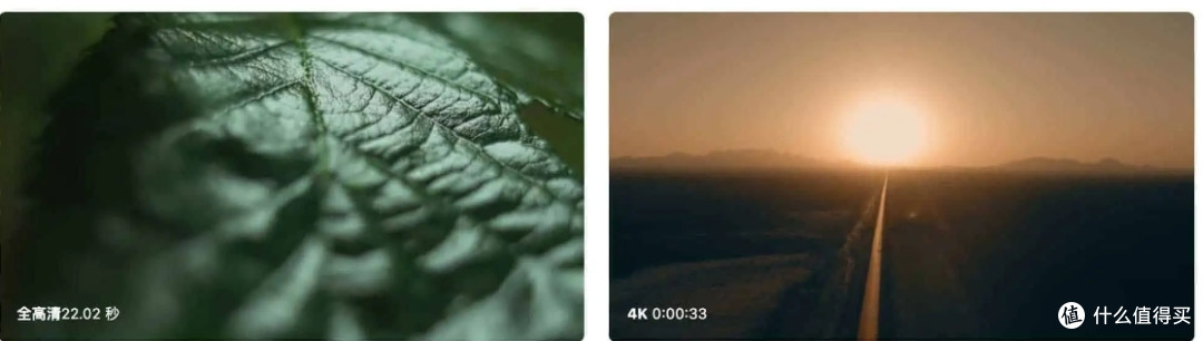 Free Stock Video:无水印4K视频素材库,为你的创作提供源源不断的灵感